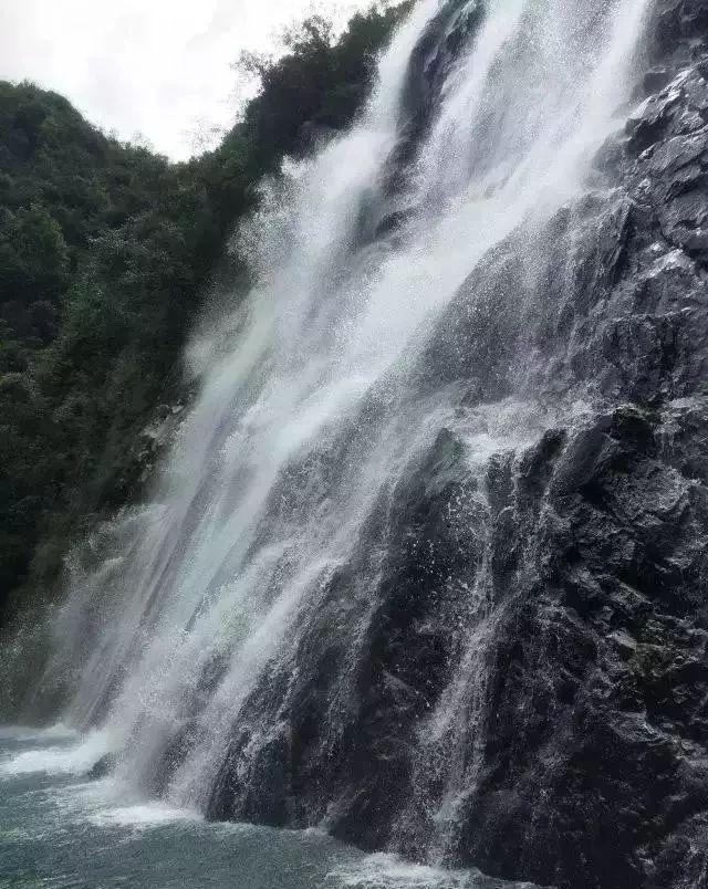 完成交易项目131项，太白湖新区公共资源交易取得新突破